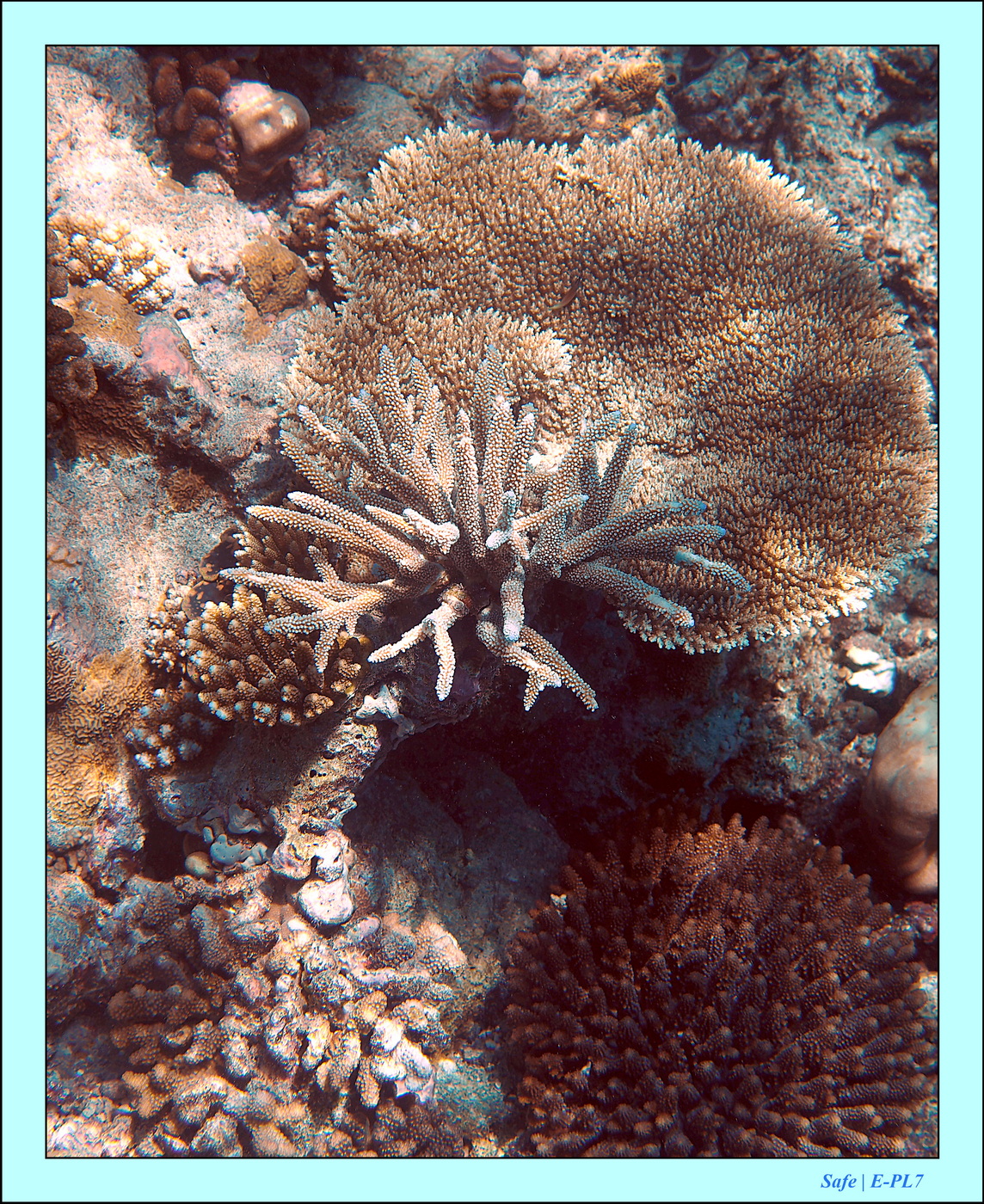 2023 - 07 - Sandies Bathala - 232